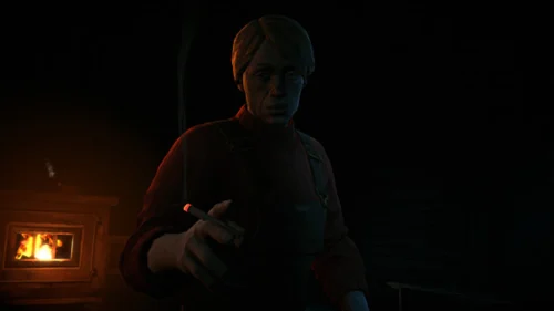 The Long Dark Pc Steam Konto Współdzielone Dostęp - Obrazek 2